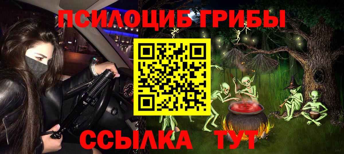 Галлюциногенные грибы Cubensis Псков