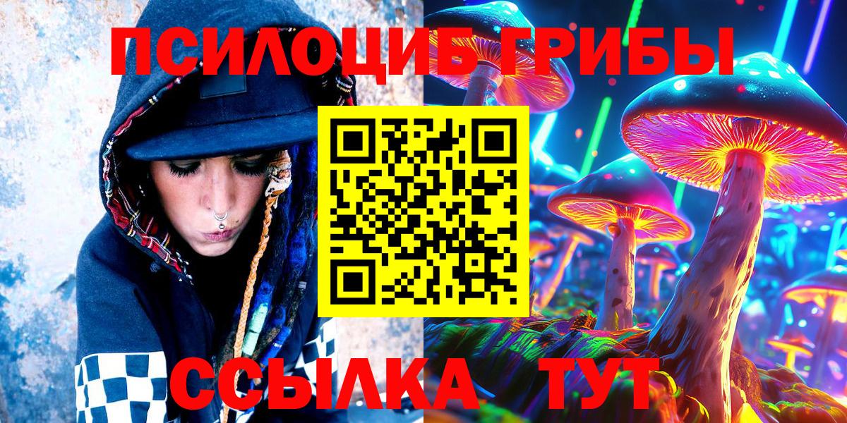 Псков  Псилоцибиновые грибы Cubensis  Вход с VPN 
