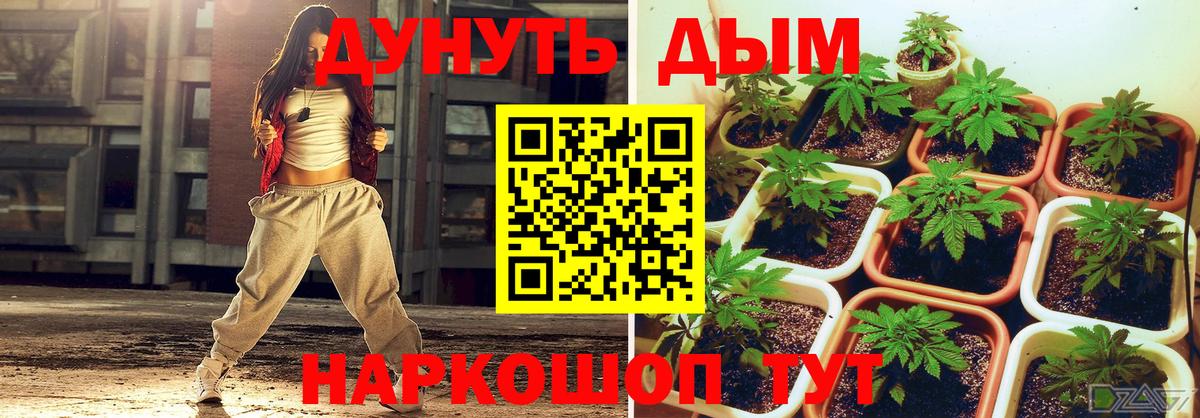 Каннабис VHQ  Вход с VPN  Конопля индика  Канабис LSD WEED  МАРИХУАНА индика  Псков 