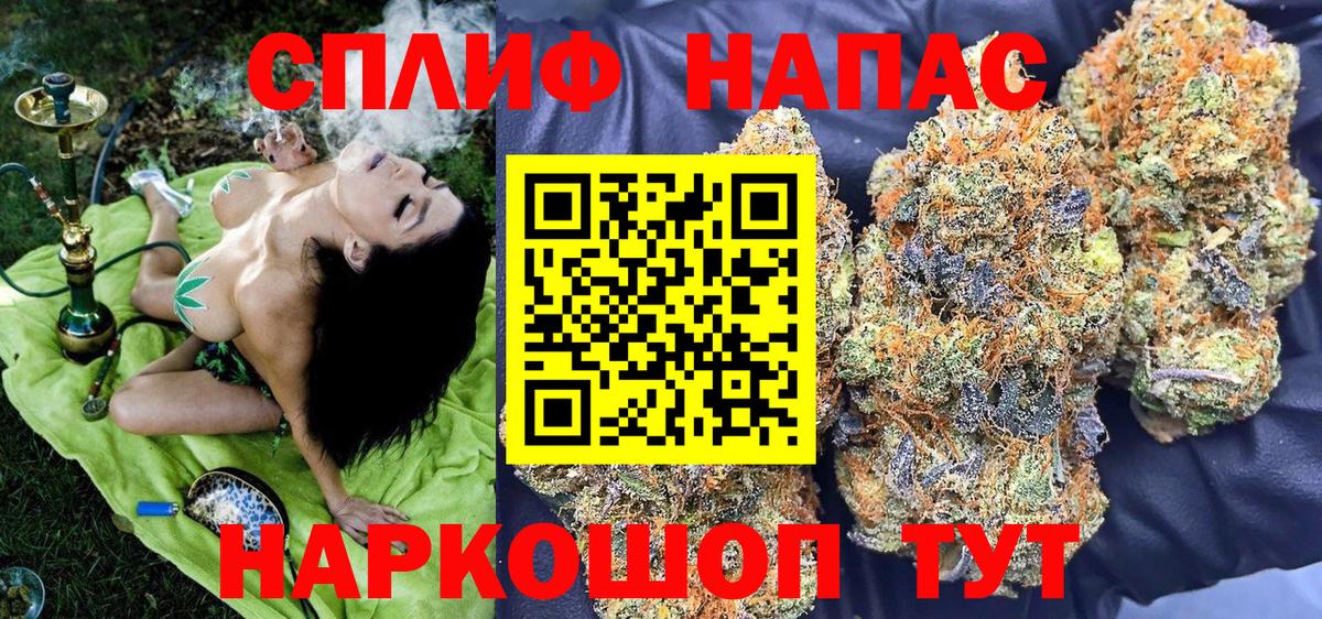 Бошки Шишки конопля Псков